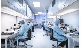 电子行业－米兰体育